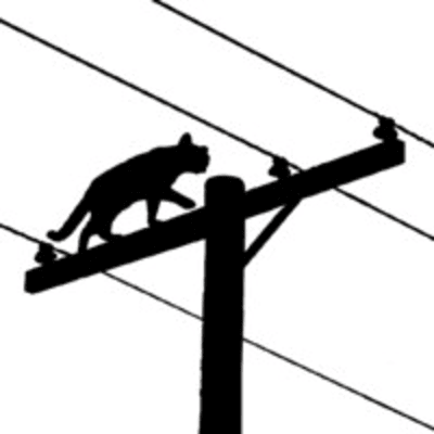 Catalyst Cooperative logo